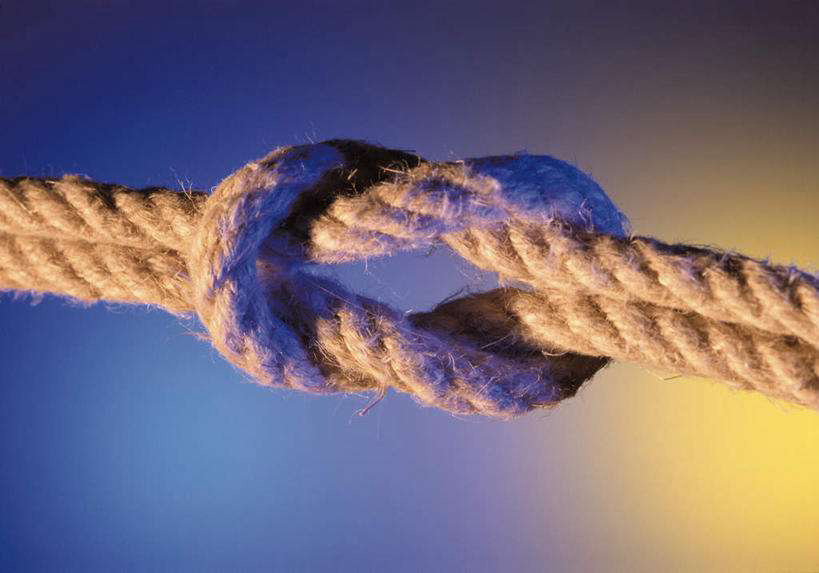 积极维护防汛救灾网络秩序倡议书