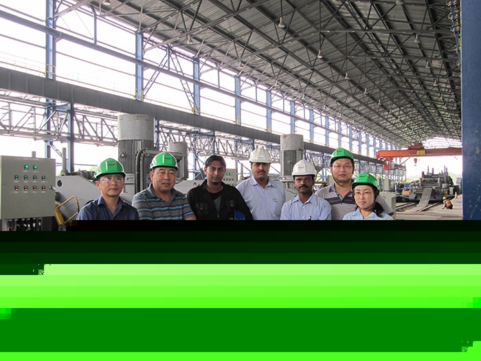 热烈庆祝我公司印度埃萨项目调试工作圆满完成